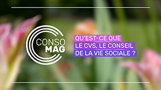 Qu'est-ce que le CVS, le conseil de la vie sociale ? avec l'Indecosa-CGT